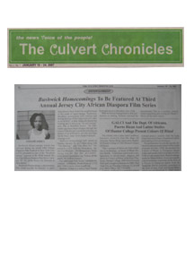 The Culvert Chronicles